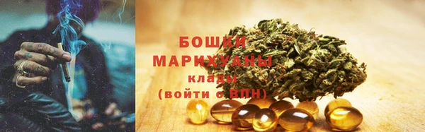 гидра Снежинск