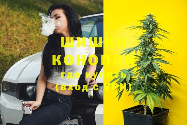 Альфа ПВП Сосновый Бор